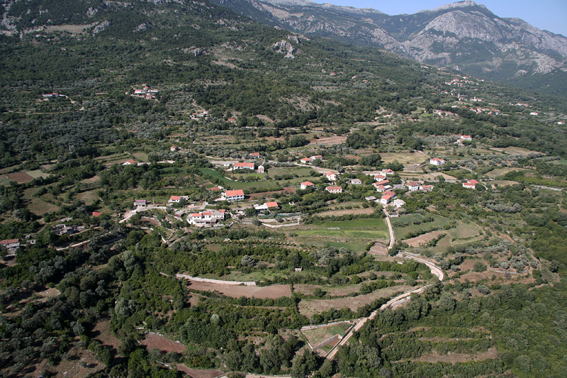 Grdovići